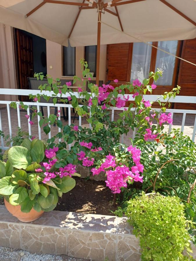 Cozy Apartments Istro Bagian luar foto